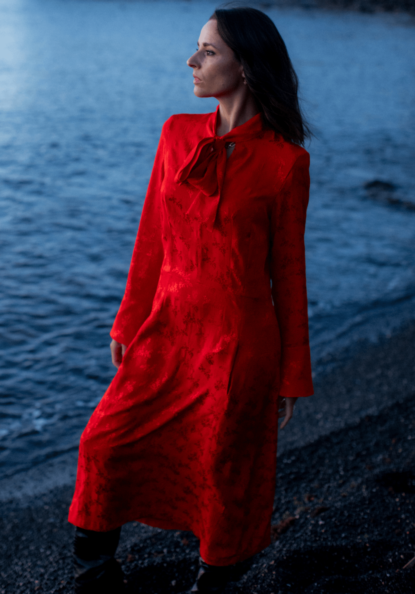 Maison Fauve - Peninsula dress - Little Haberdasher Shoppe