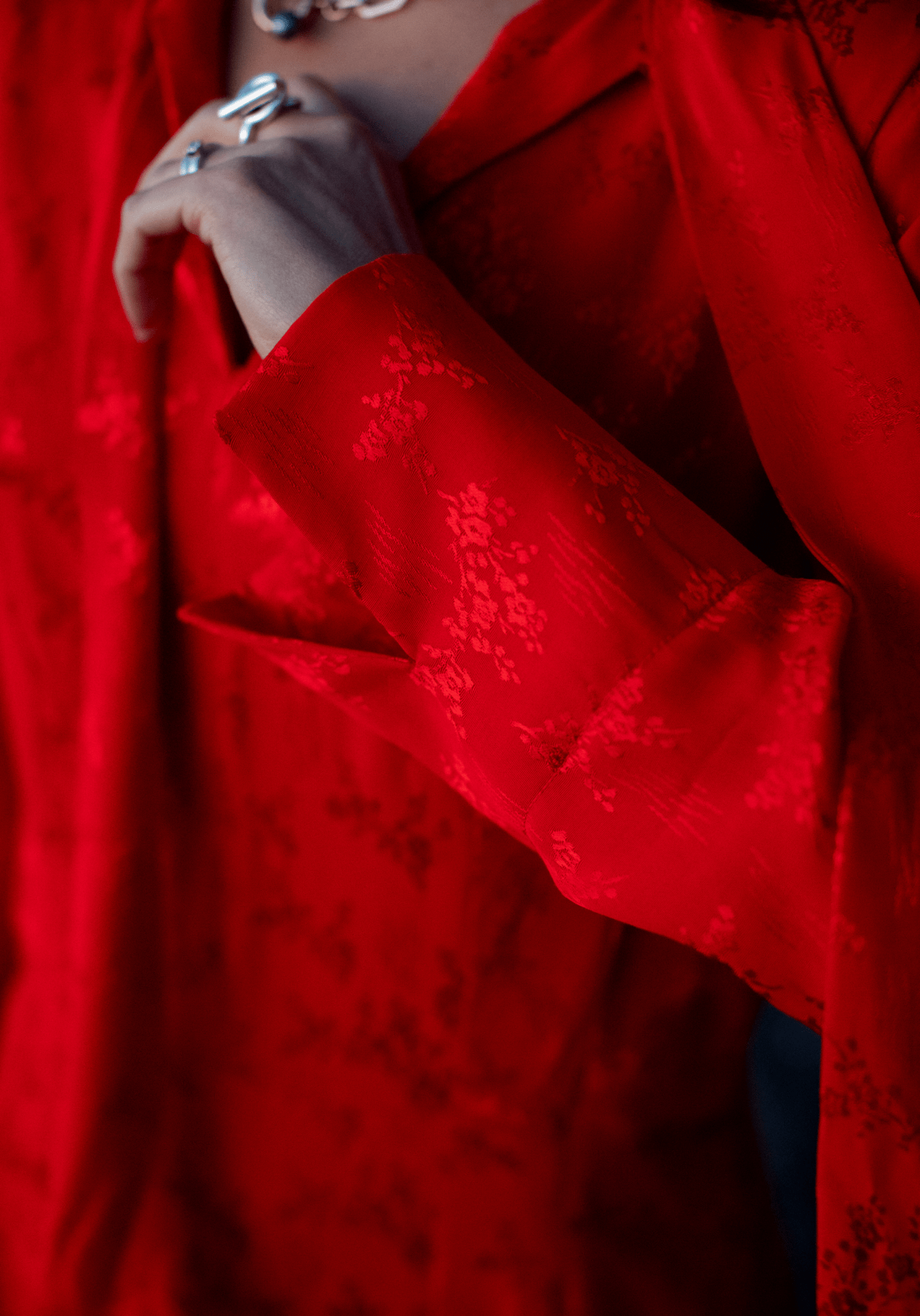 Maison Fauve - Peninsula dress - Little Haberdasher Shoppe