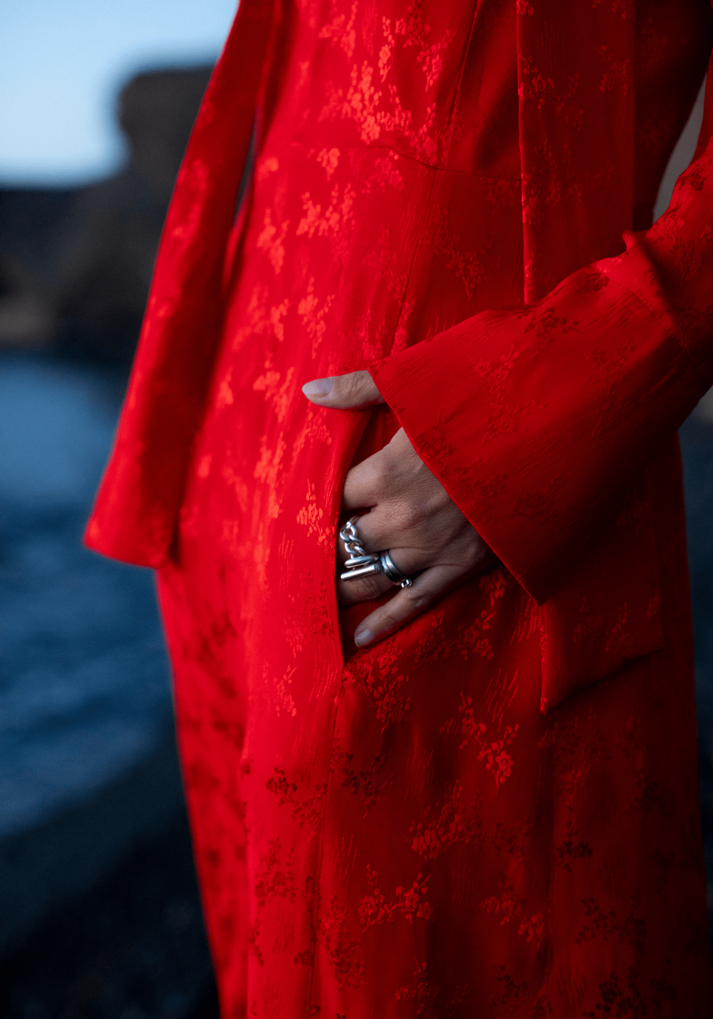 Maison Fauve - Peninsula dress - Little Haberdasher Shoppe