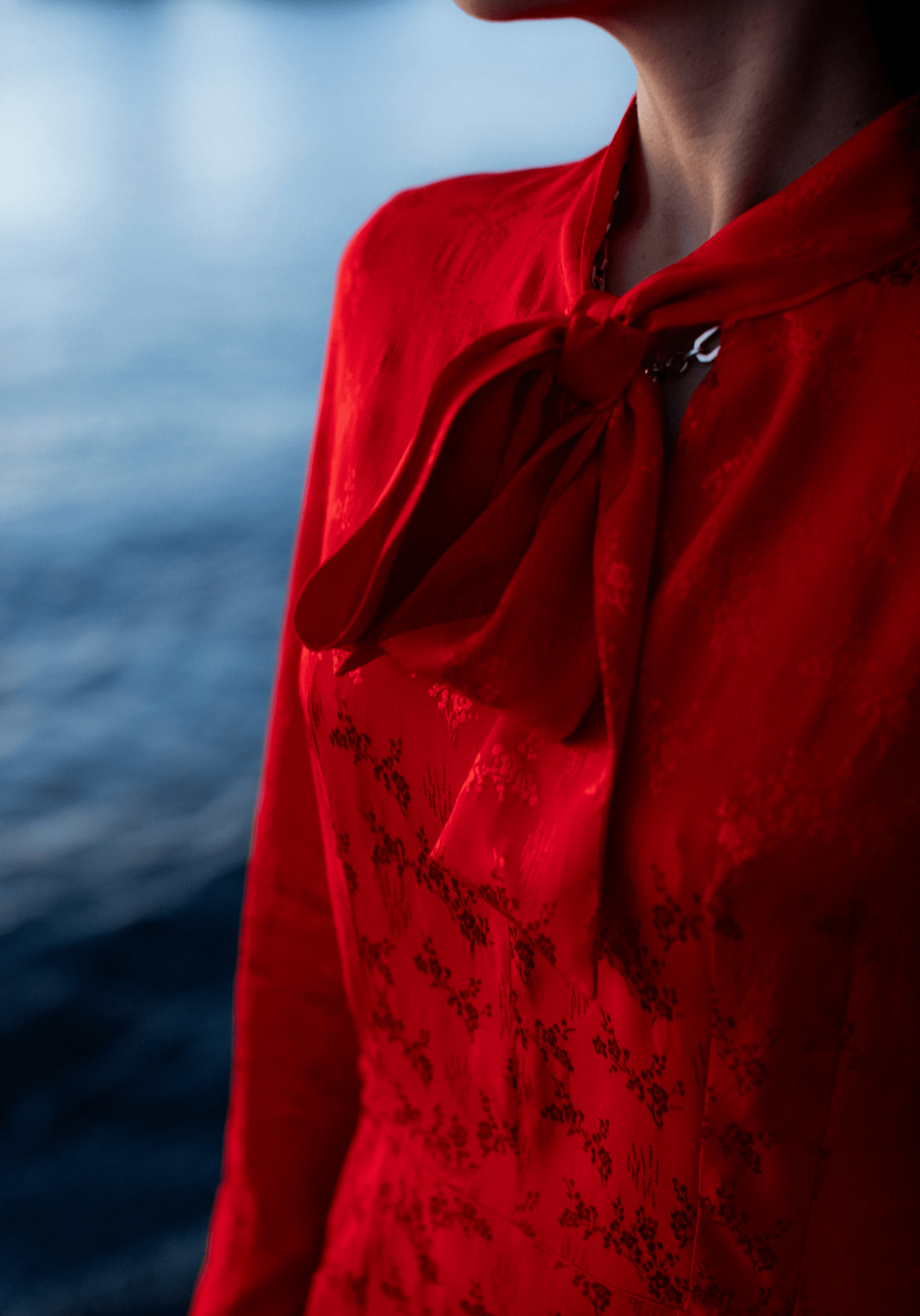 Maison Fauve - Peninsula dress - Little Haberdasher Shoppe